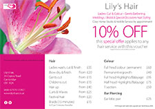 Lily's Hair Special Offer Flyer | Ladies Hairdresser | Hairdresser | Peckham SE15 London | Mobile Hairdresser | Hair Salon | Lilys Hair