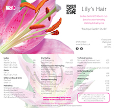 Lily's Hair Salon Price List | Mobile Hairdresser | Ladies Hairdresser | Old Moulsham Chelmsford